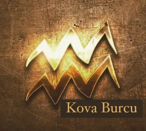 kova9 (7).webp