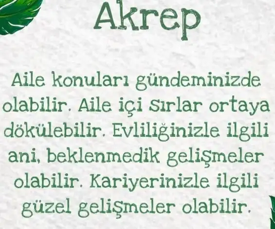 kova9 (9).webp