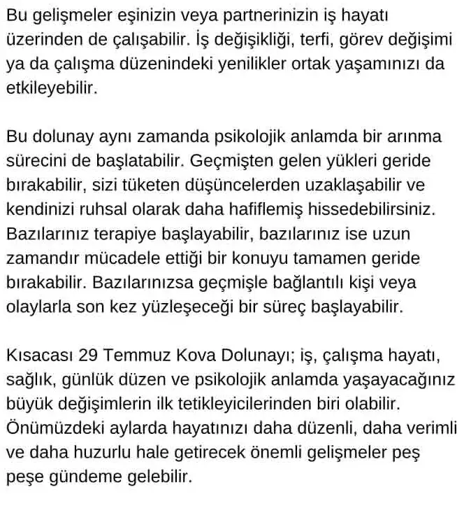 kovv (10).webp