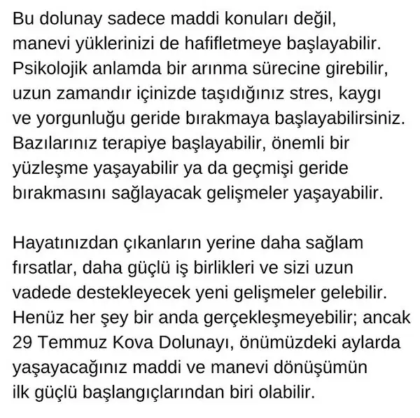 kovv (6).webp