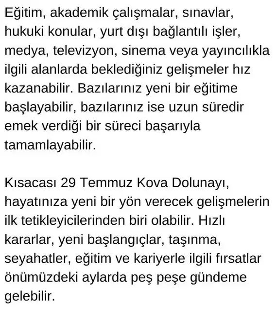 kovv (8).webp
