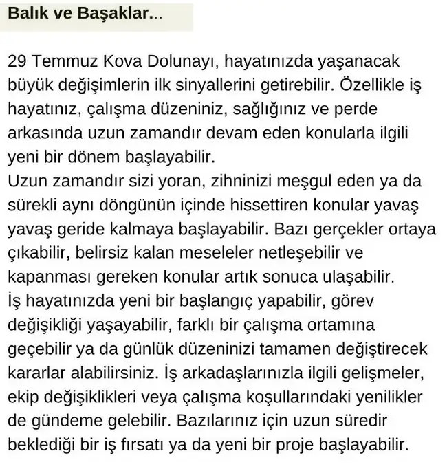 kovv (9).webp