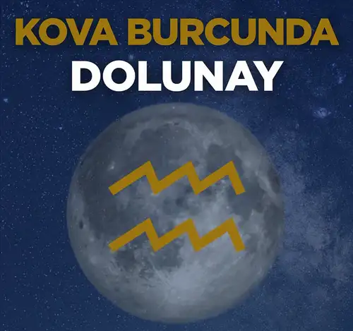 kovv.webp