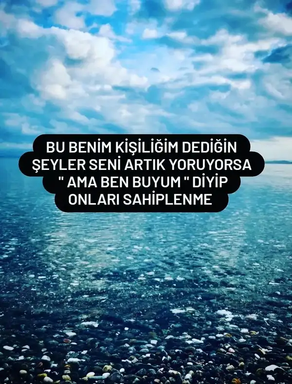 kovva1 (1).webp