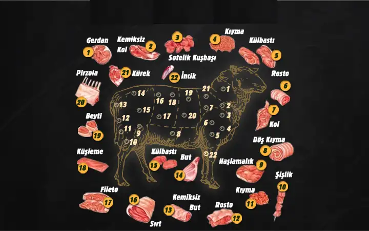 koyun-eti-haritasi-et-bolgeleri.webp