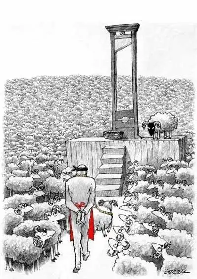 koyun sürüsü.webp