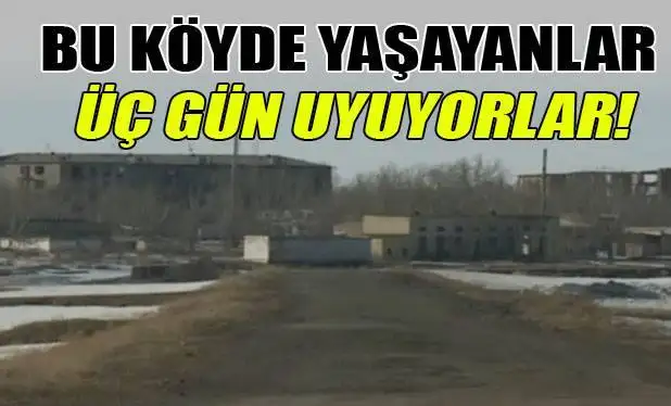 koyy.webp