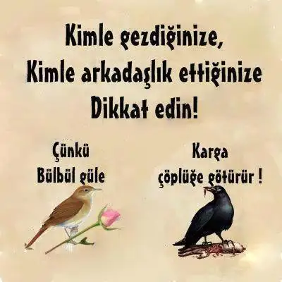 krg.webp