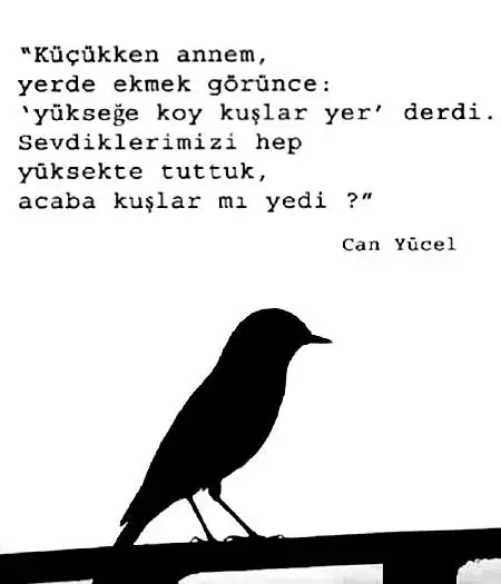 kucukken annem can yucel.webp