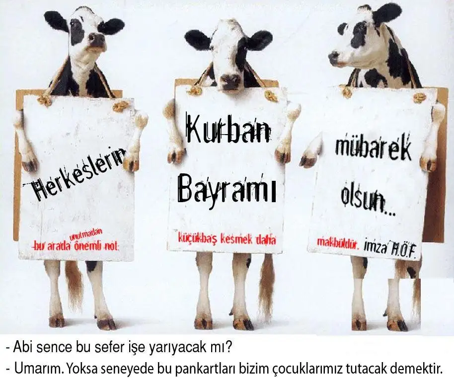 kurban-bayram25c425b1-komik-resim.webp