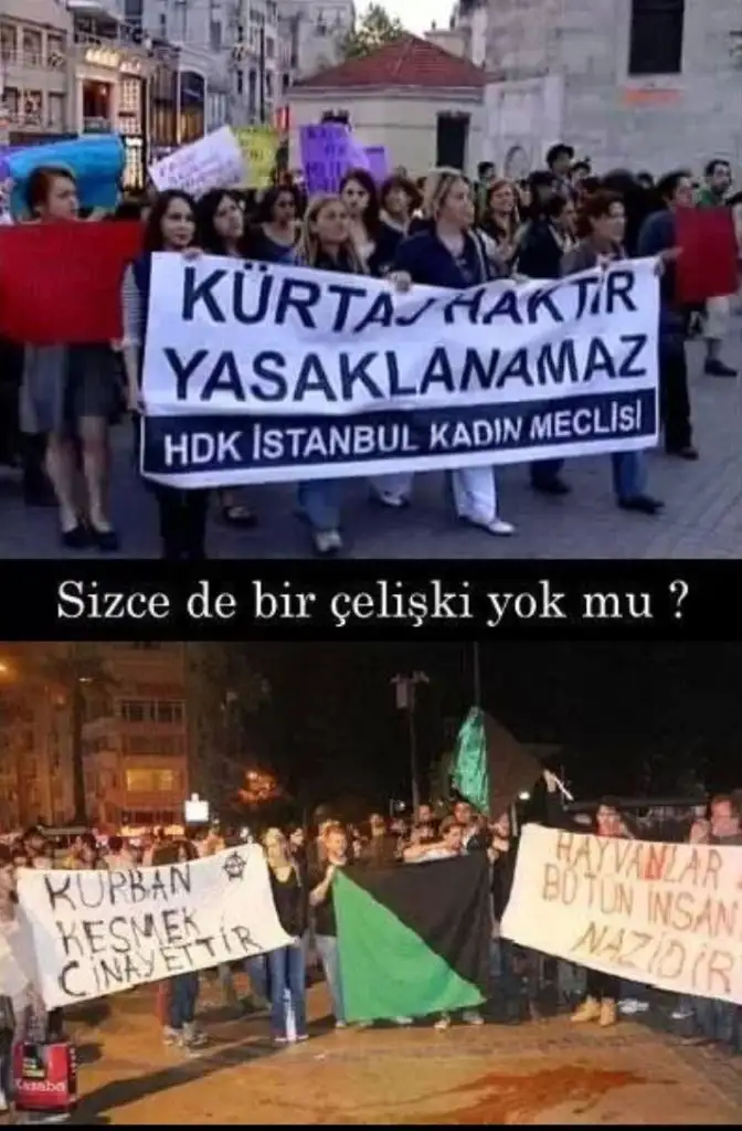 kürtaj-ile-koyun-kesmey-aynı-sanan-zihniyet.webp
