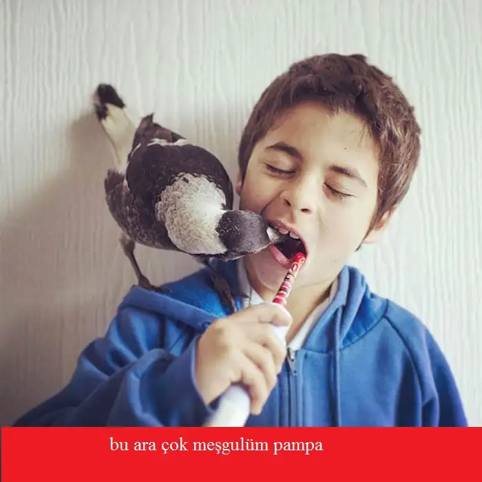 kurtardiklari-saksaganla-arkadas-olan-aile-nolmus-1.webp