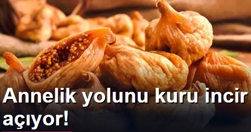 kuru_incir_hamile_halma.webp
