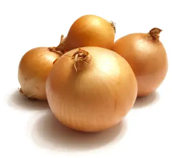 kurusogan.webp