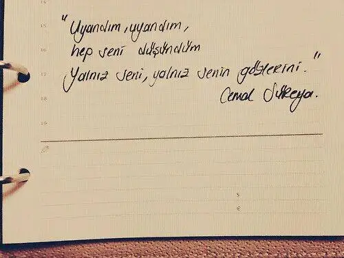 kuş.webp