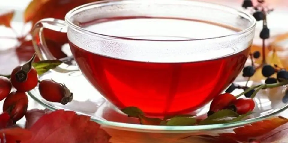 kusburnu_bilinmeyen_mucize_faydalari.webp