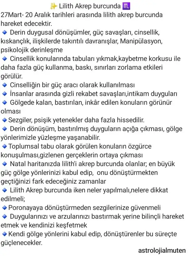 l1 (2).webp