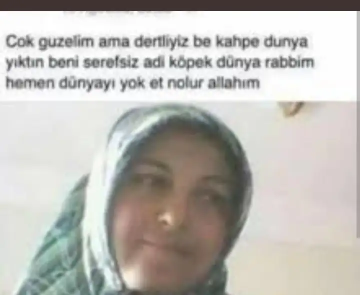 l7hl81.jpg