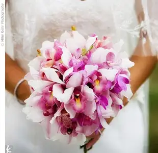 large_image.webp