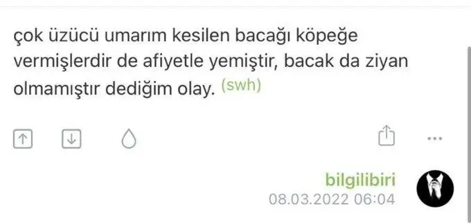 lbf6z5xh.webp