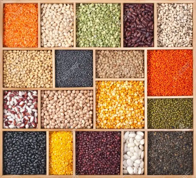 legumes(1).webp