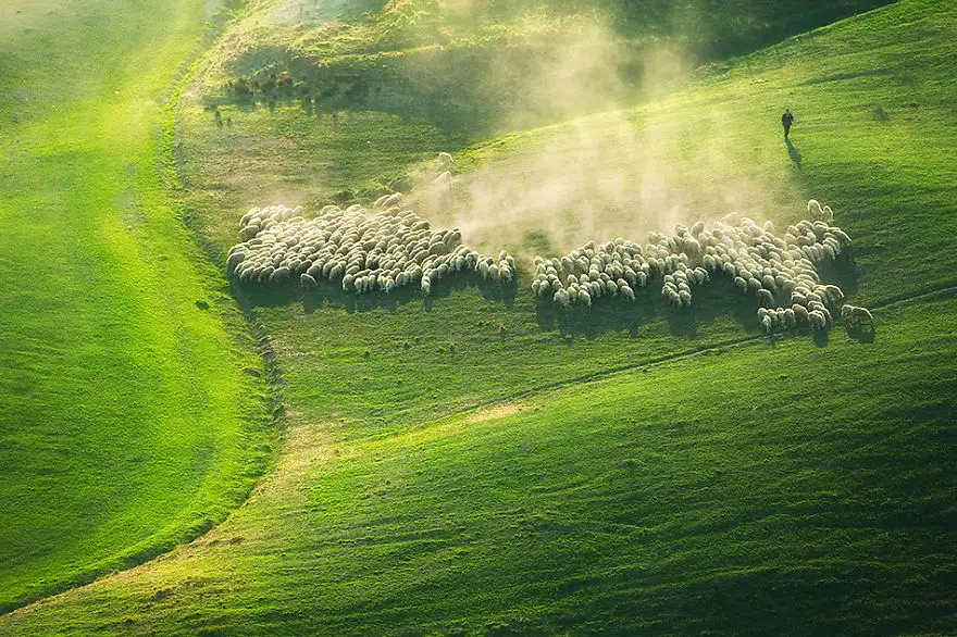 Lemming-like-rush-950__880.webp