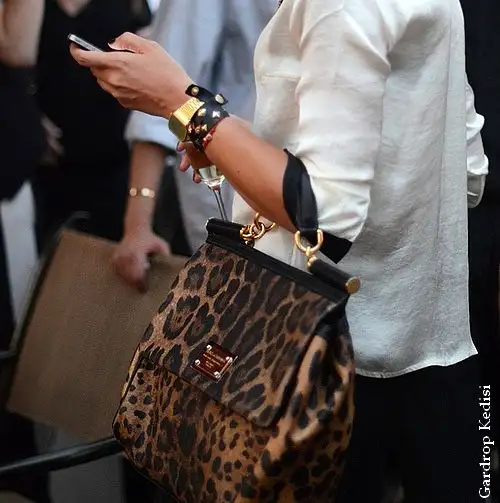 leo bag.webp