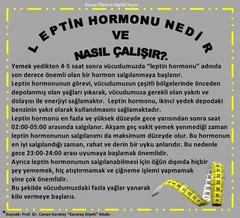 leptın.webp
