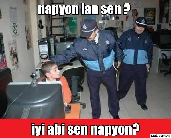 lfdth7.webp