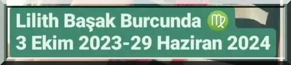 lil bşk (1).webp