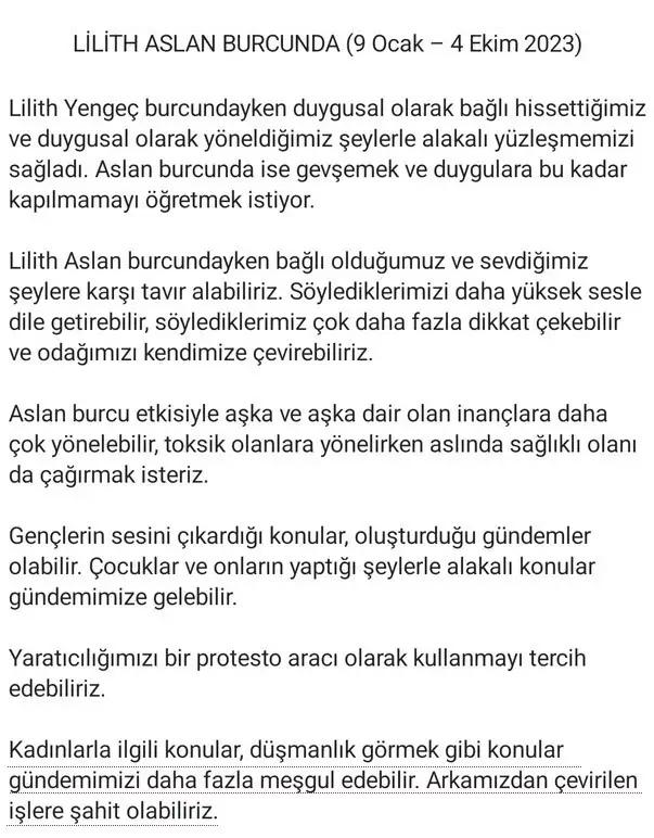 lil1 (2).webp