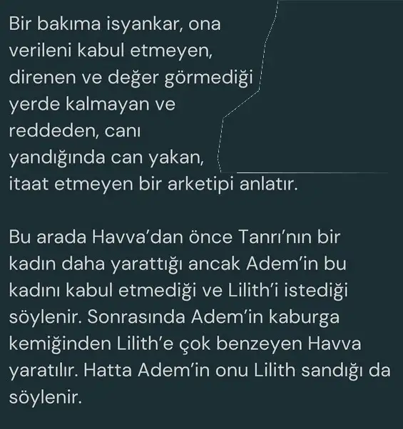 lil1 (3).webp