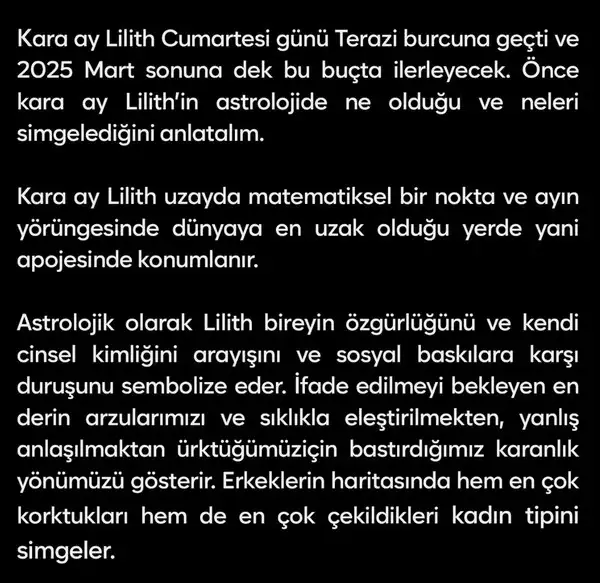 lil2 (2).webp