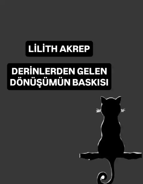 lil3 (1).webp
