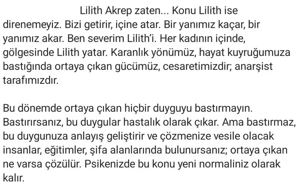 lil3 (6).webp