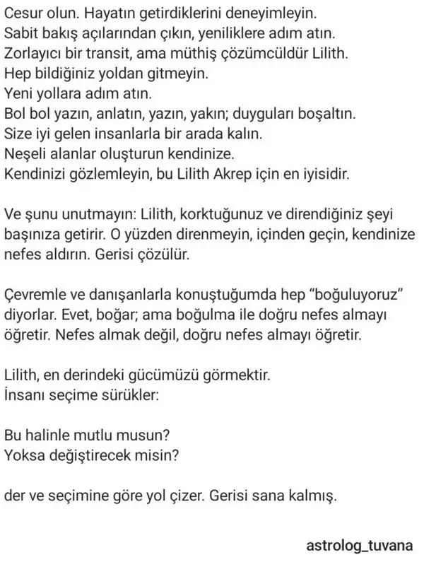 lil3 (7).webp