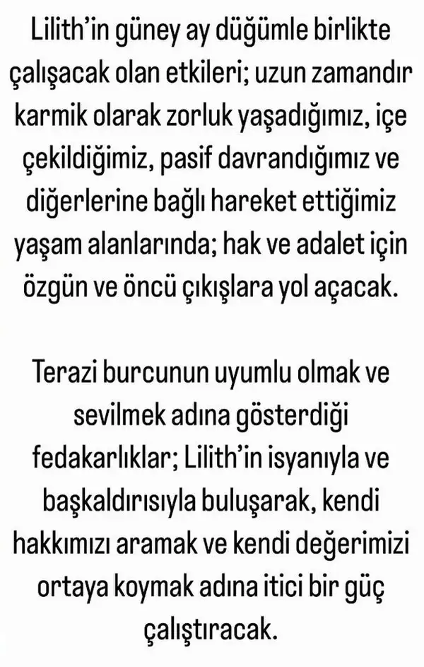 lil5 (3).webp