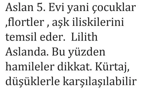 lil7 (4).webp