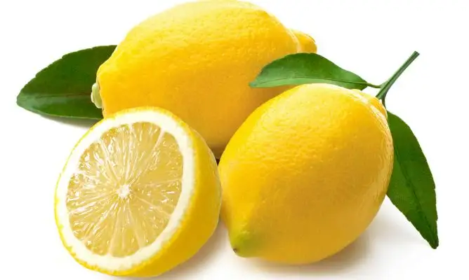 limon-hakkinda-bilgiler-802.webp