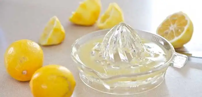 limon-suyu.webp
