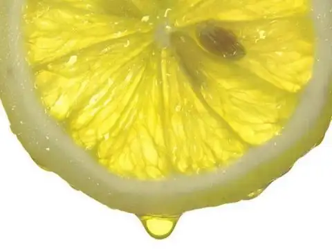 limon-ve-su.webp