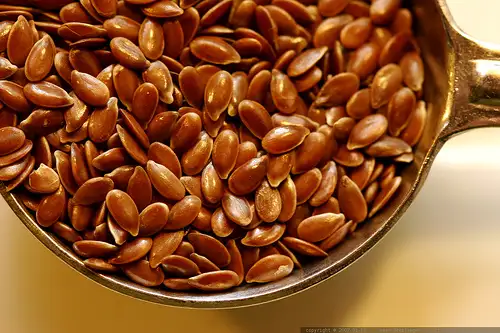 Linseed-sean-dreilinger.webp