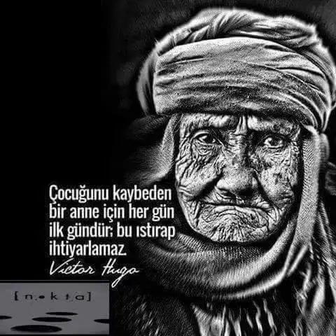 lkll.webp