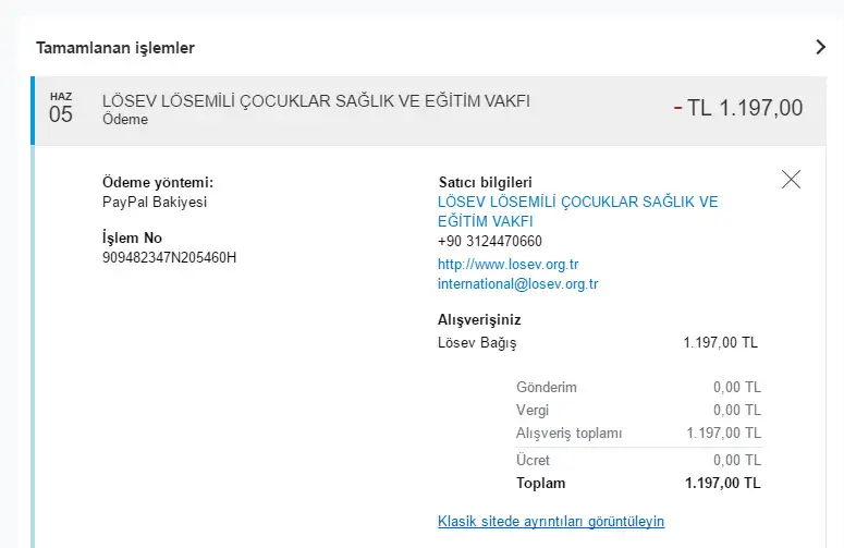 losev.webp