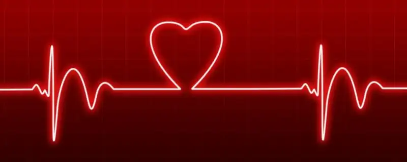 love-313417_960_720.webp