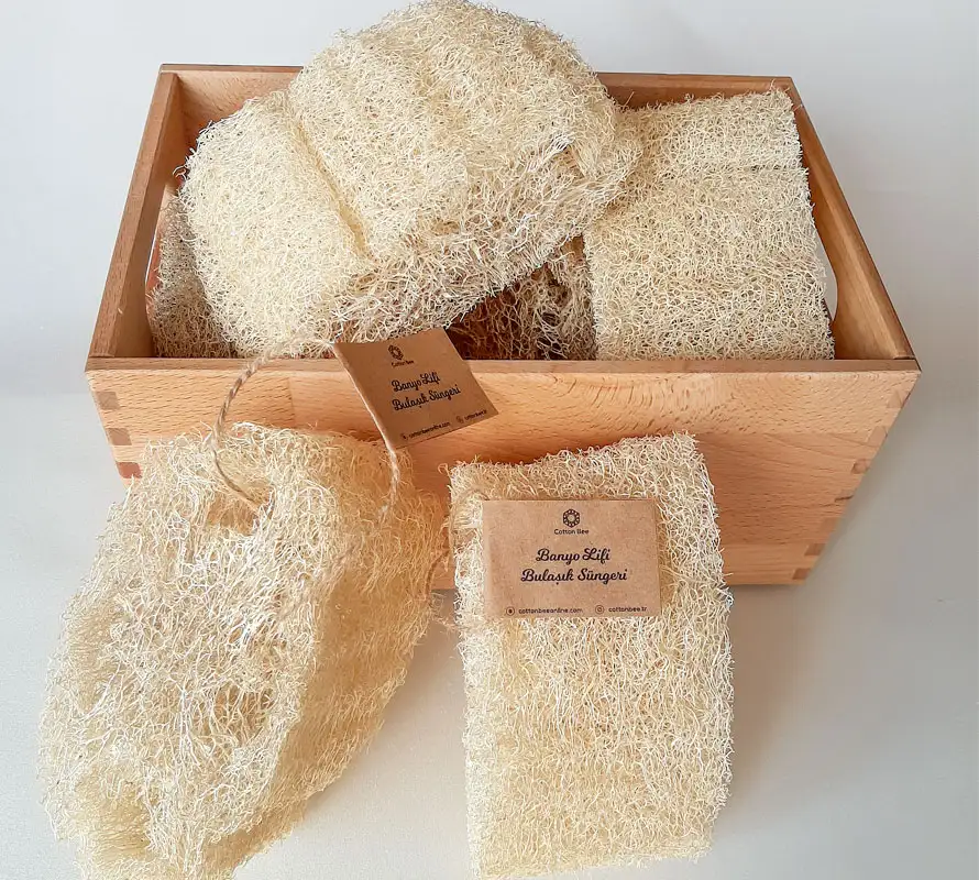 luffa-dogal-kabaklifi-cottonbee.webp