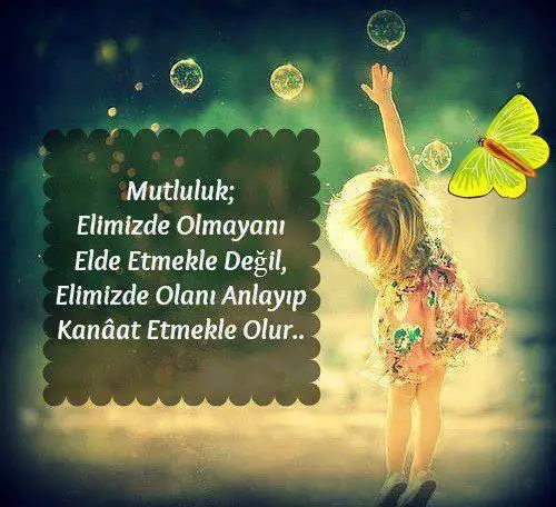 m.webp
