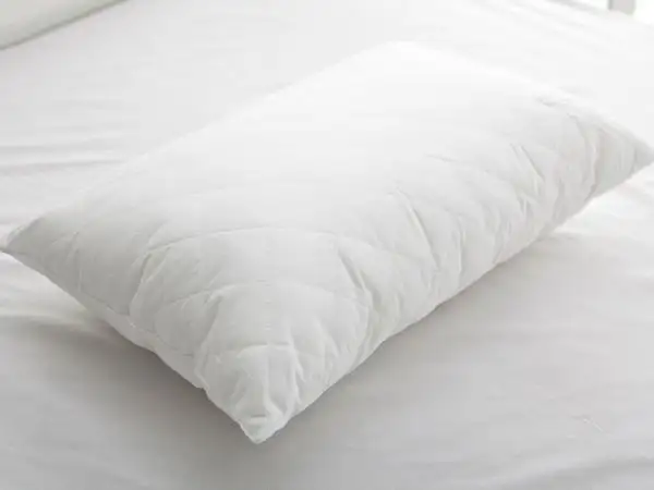M001541_medium.webp