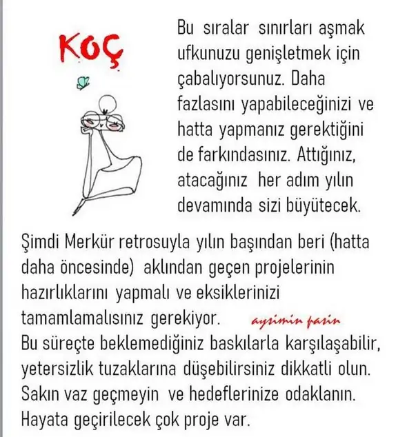 m11 (1).webp