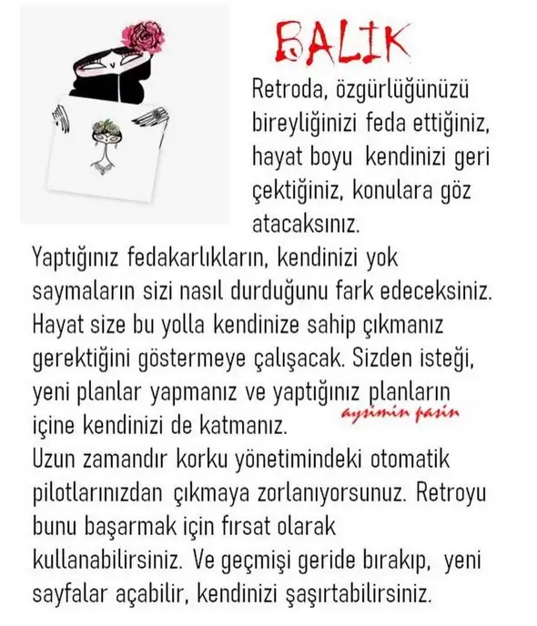 m11 (12).webp